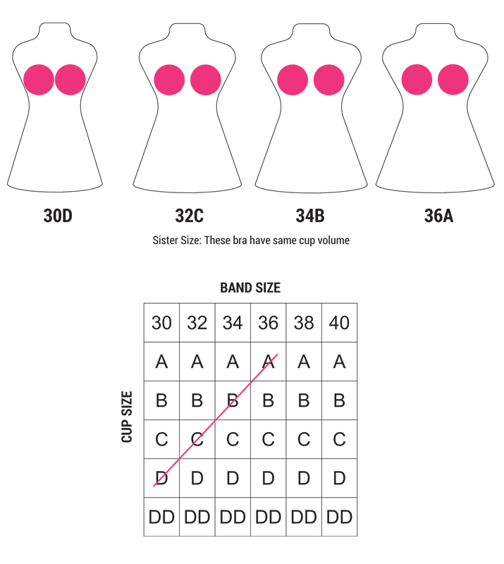 what-bra-cup-sizes-look-like